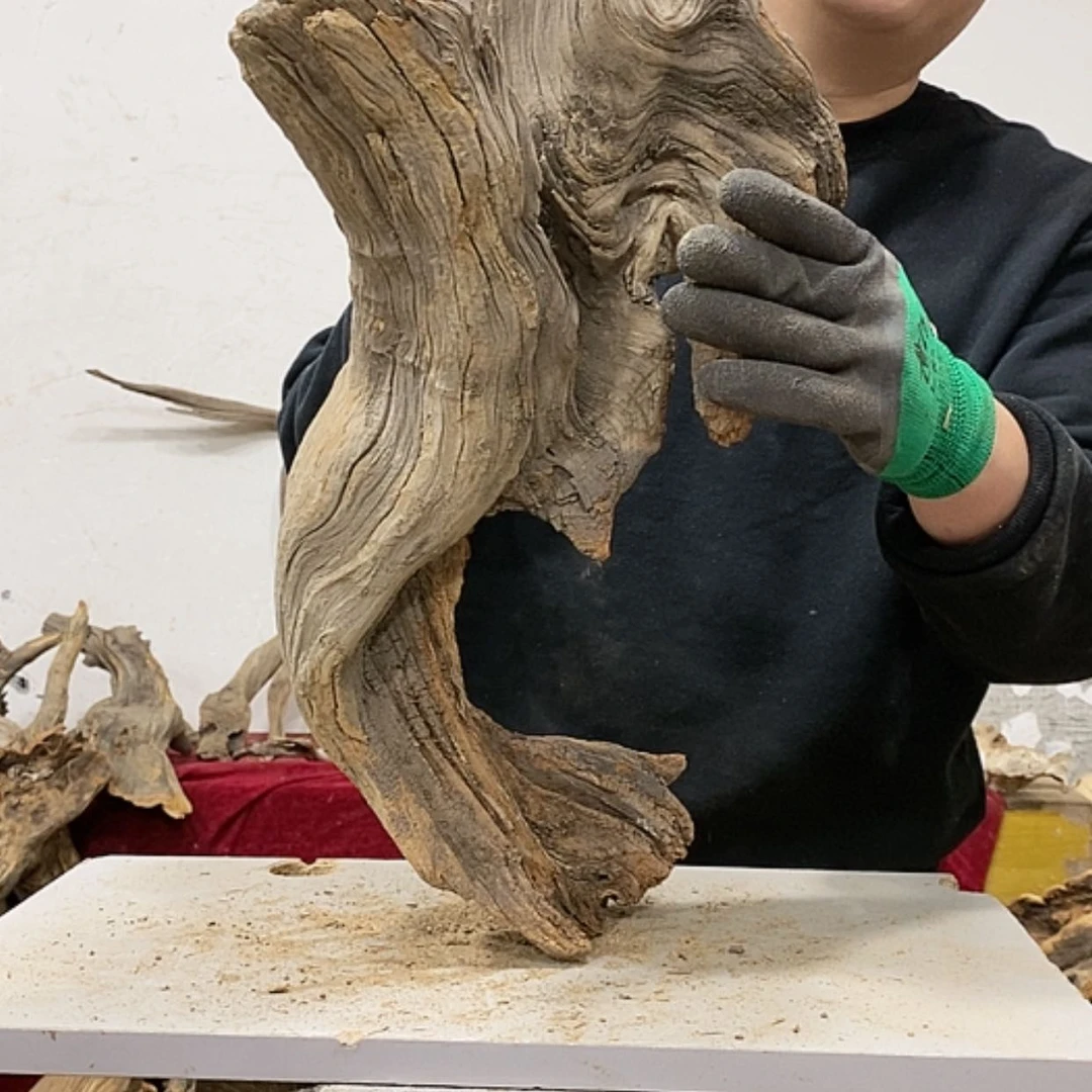 【闪购商品】柏木木****店我们都是好孩子