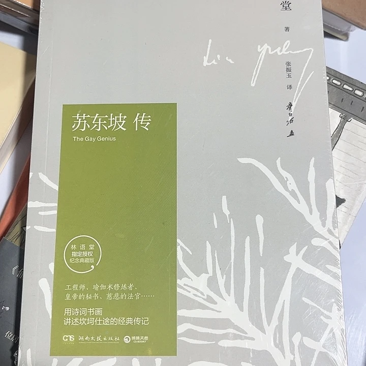 苏东坡传全新推荐