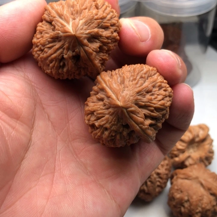 我***哥36全品大蒜头顺丰快递到付