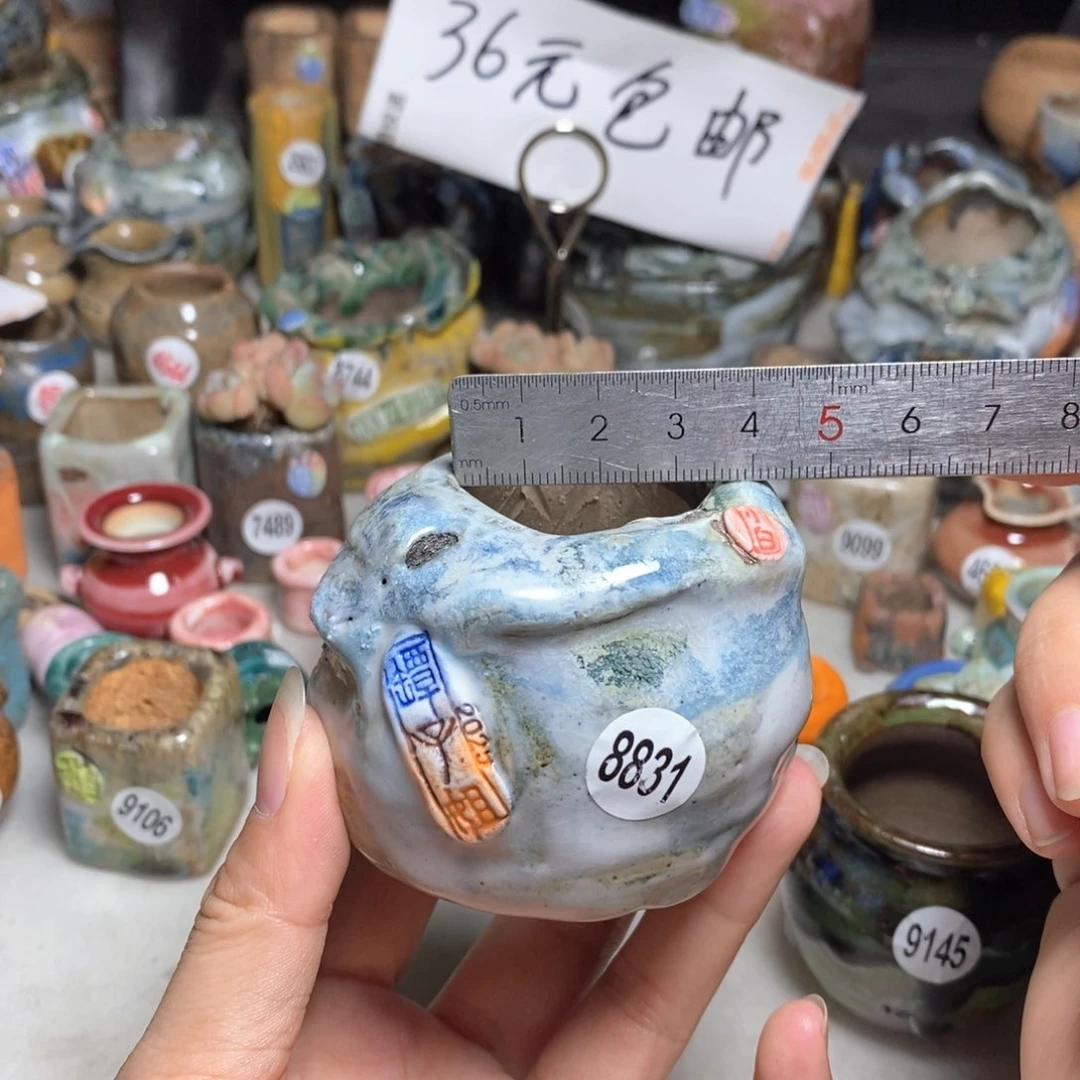 拍2送一个小礼物