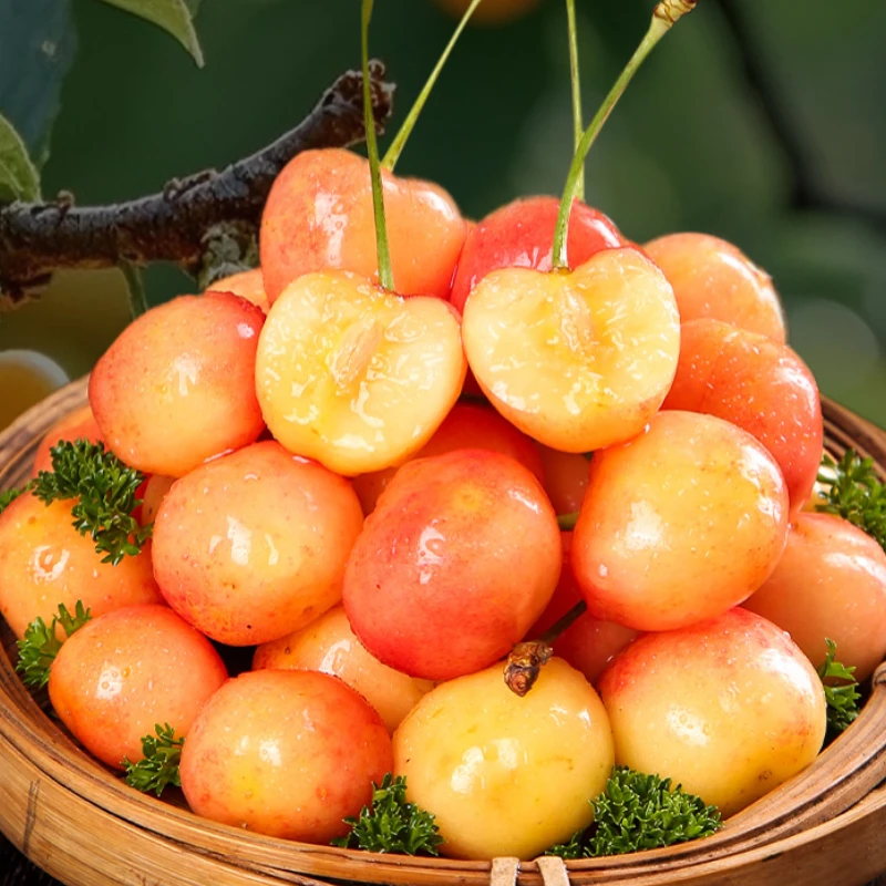 正宗山东黄蜜新鲜黄水晶小樱桃当季纯甜无酸软糯多汁包邮