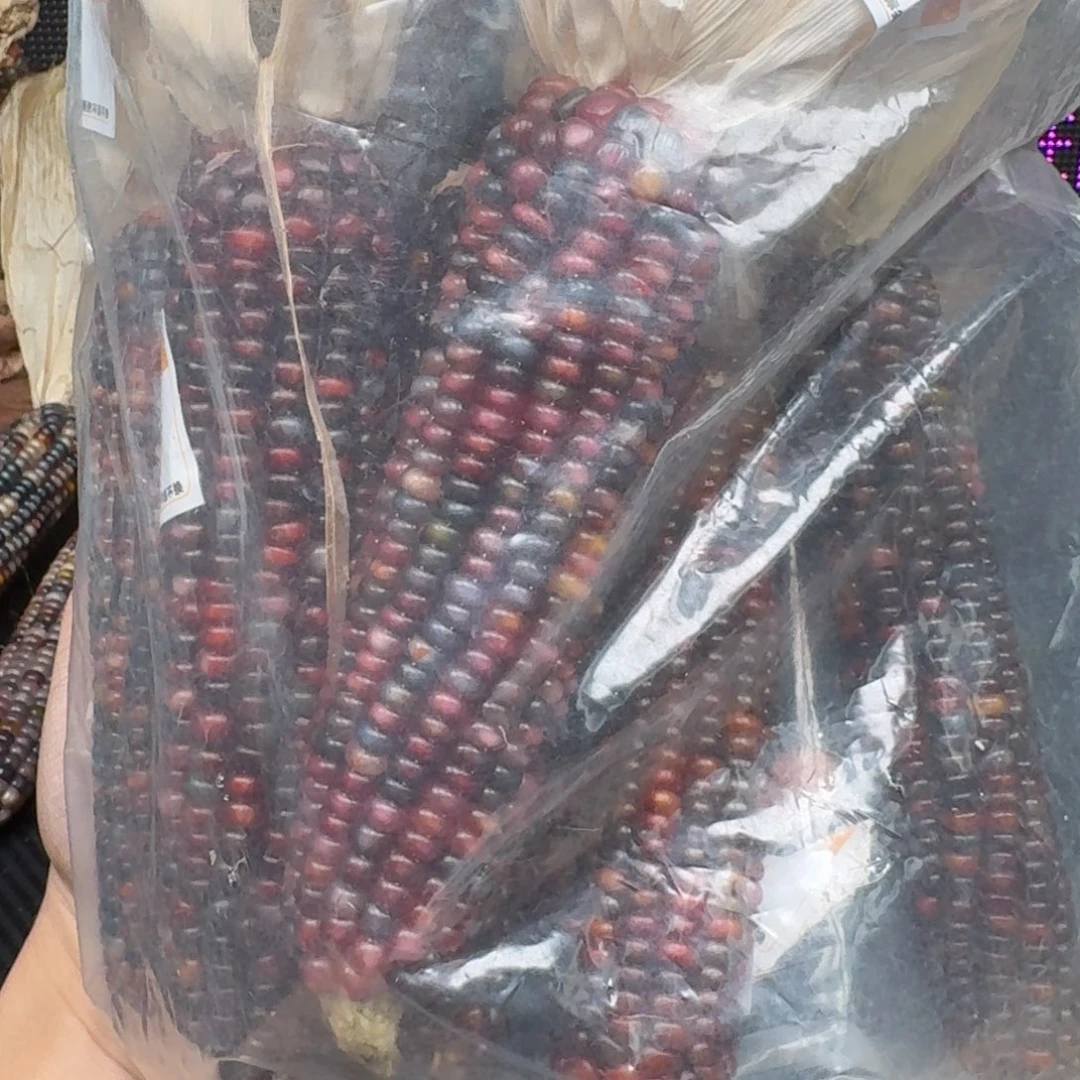 柏香籽/百香籽吊坠别****米