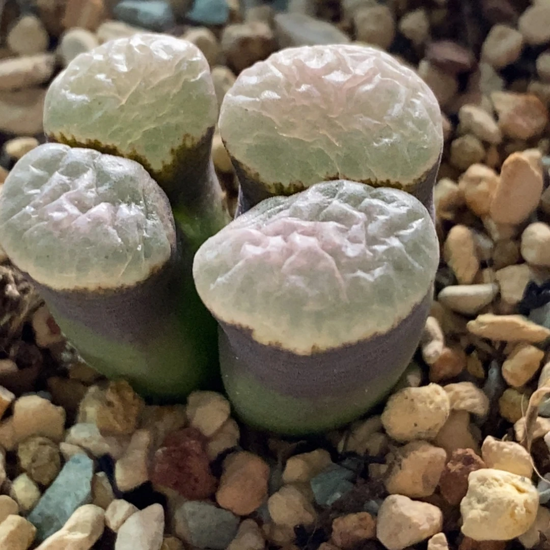 A***9308/好看好看好看好看