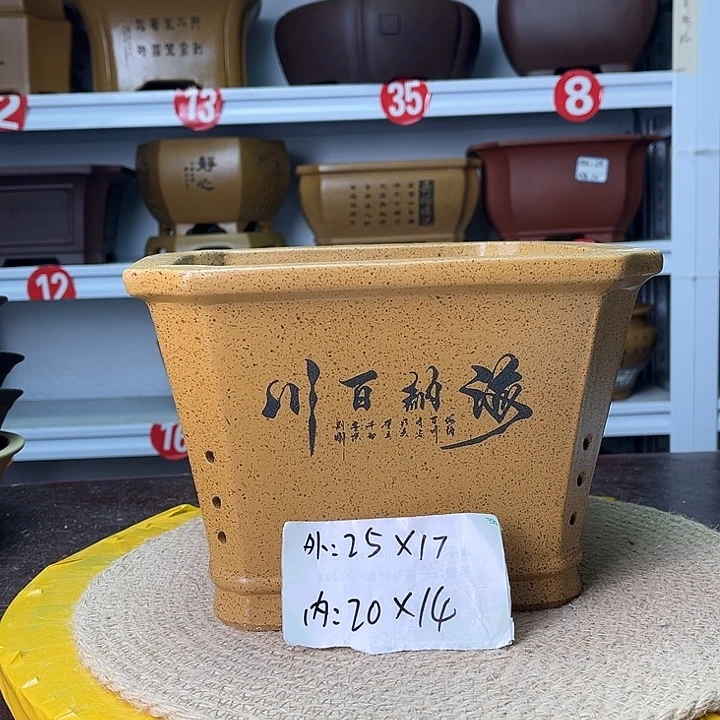 紫砂花盆你在一起