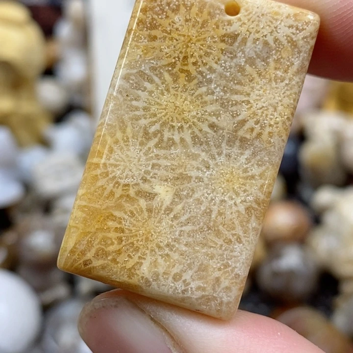 颈饰未镶嵌硅化珊瑚（珊瑚玉）