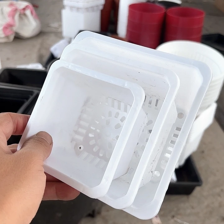 白方组合15个14-12-10各5个