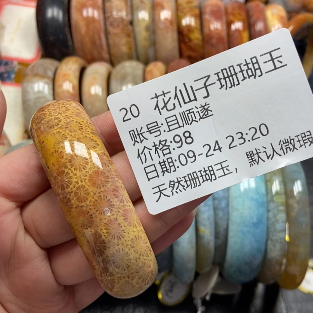 且***遂未镶嵌硅化珊瑚（珊瑚玉）珠宝半成品20
