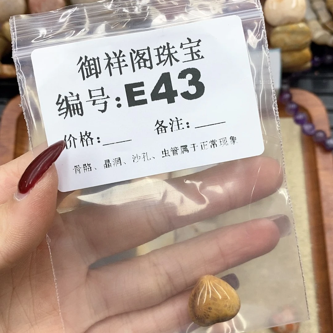硅化珊瑚（珊瑚玉）L未镶嵌妮****】
