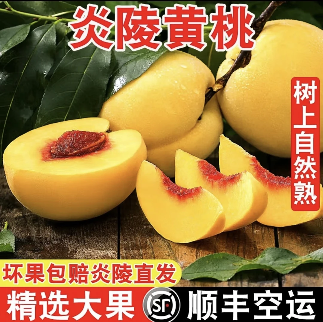 正宗炎陵高山黄桃10斤盒装产地直发（湖南省外专拍）