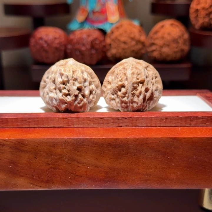 门头沟元宝尺寸37肚子挂着果双的骨质