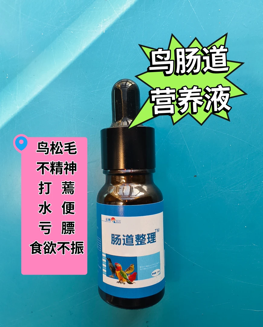鸟类肠道健康营养液鸟松毛排便粘连羽毛消瘦刀胸整理