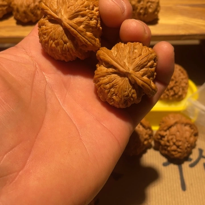 核桃42白狮子。。。。。。。