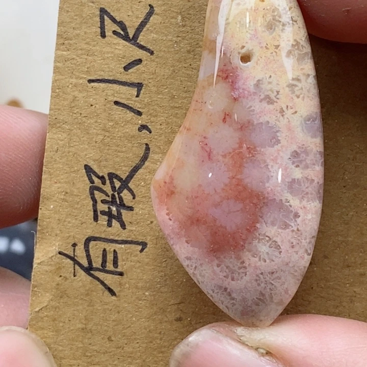 颈饰未镶嵌硅化珊瑚（珊瑚玉）