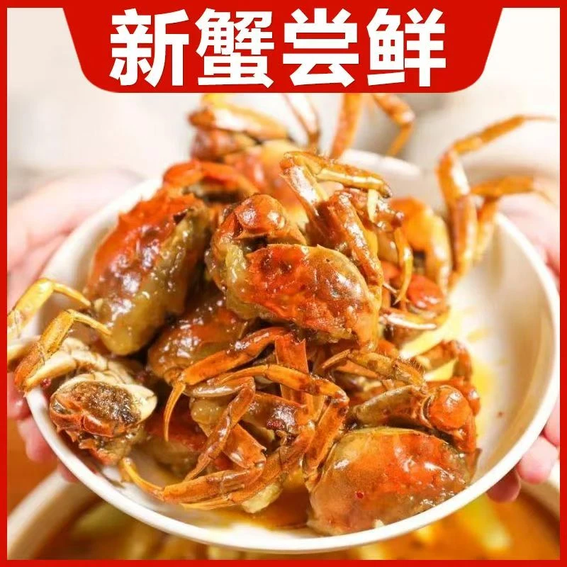 江翁蟹庄 品质好蟹 1.2-1.5两 买10送6到手16只 顺丰冷链