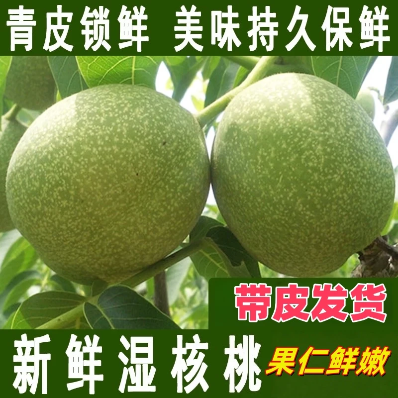 四川大凉山新鲜带青皮湿核桃营养美味多仓发货坏果包赔