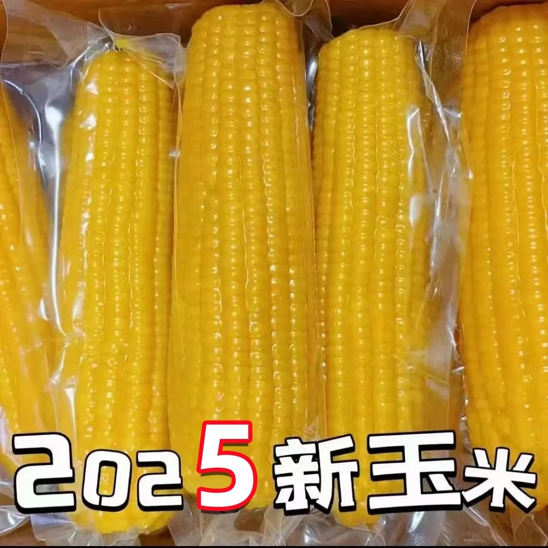 东北玉米黑龙江甜糯香粘口感好糯玉米真空包装微甜黄糯