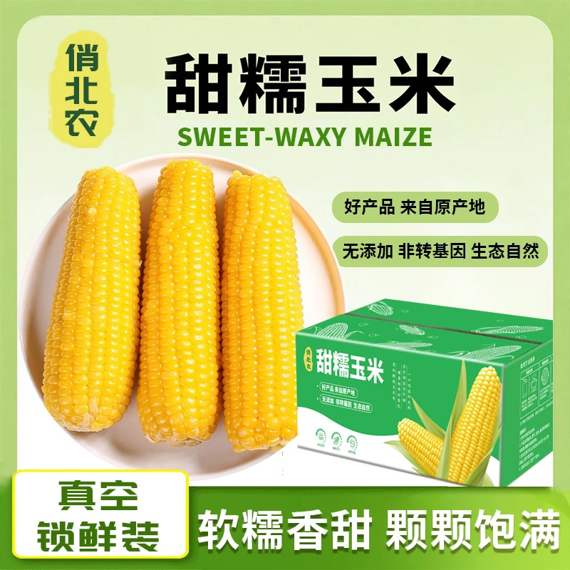 25年头茬东北糯玉米东北现摘新鲜黄糯玉米黄甜糯玉米应季糯玉米