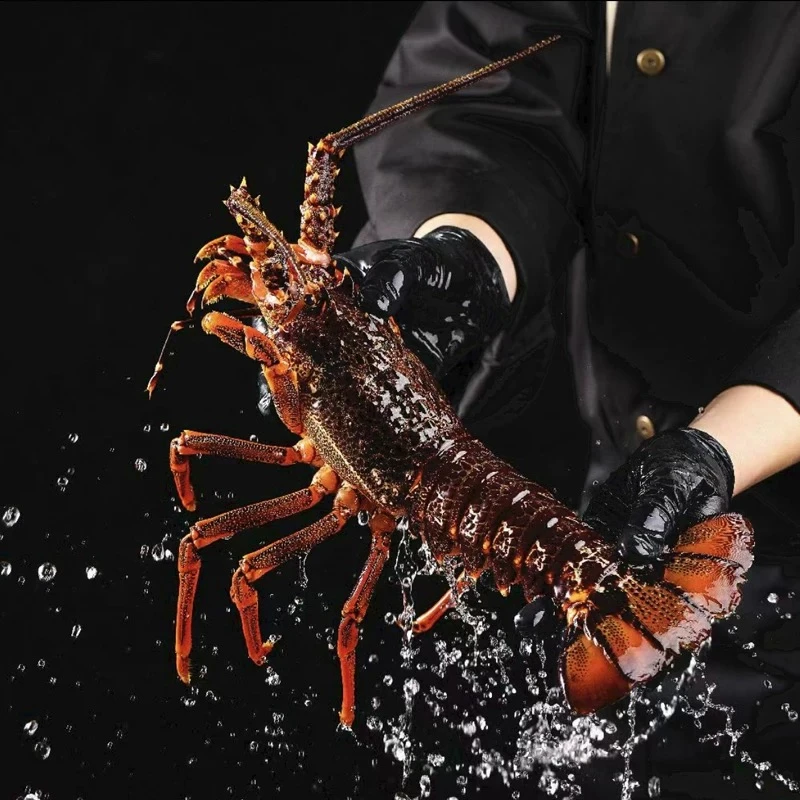 【新男】海鲜现称现卖帝王蟹波龙面包蟹松叶蟹顺丰冷链供应