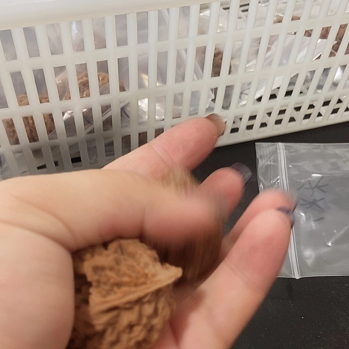 吊坠文玩核桃秋子