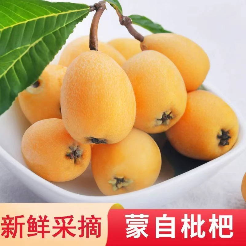 云南蒙自枇杷3斤/2斤新鲜水果枇杷果