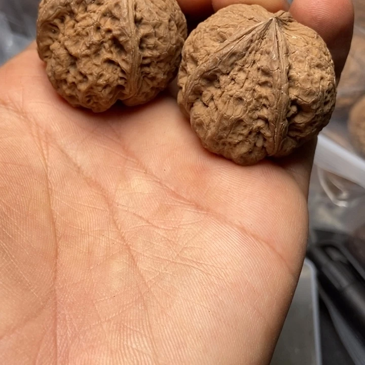 文玩核桃把件   64