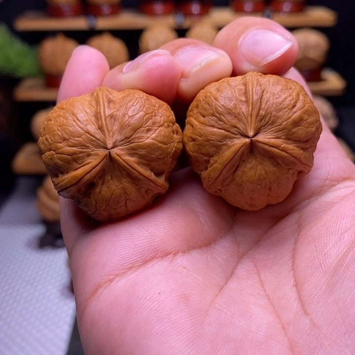核桃云铁萌萌包三棱51号
