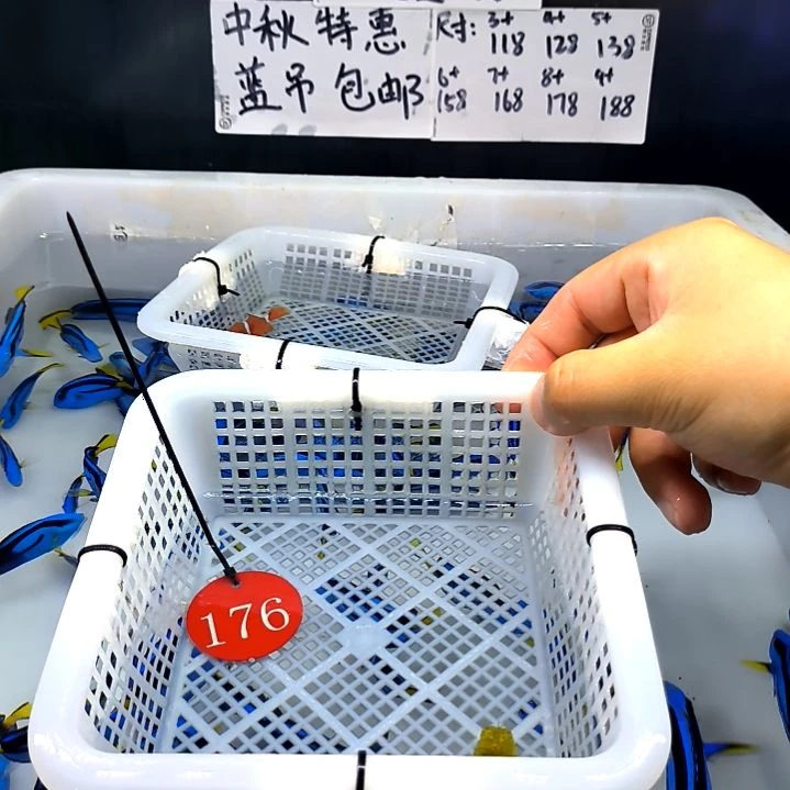 牛角2+/6-78-176海水