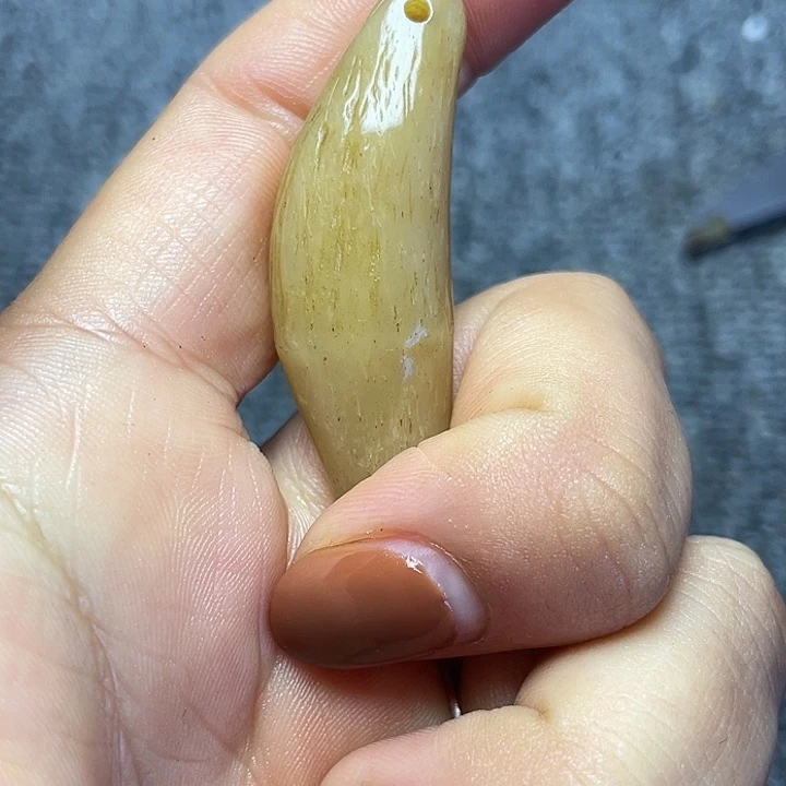 大果紫檀（缅甸花梨）