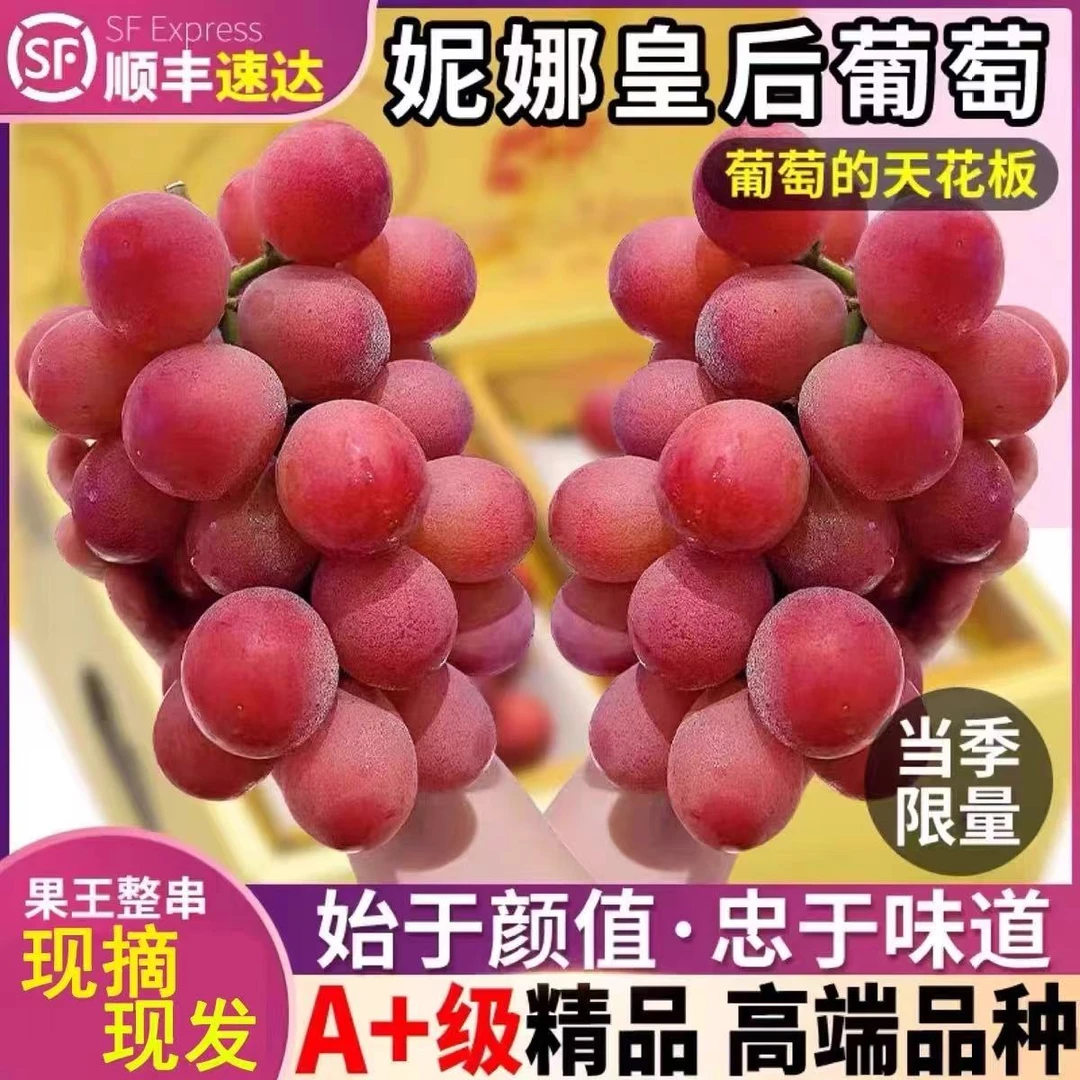 妮娜皇后葡萄红宝石自家果园现采现发