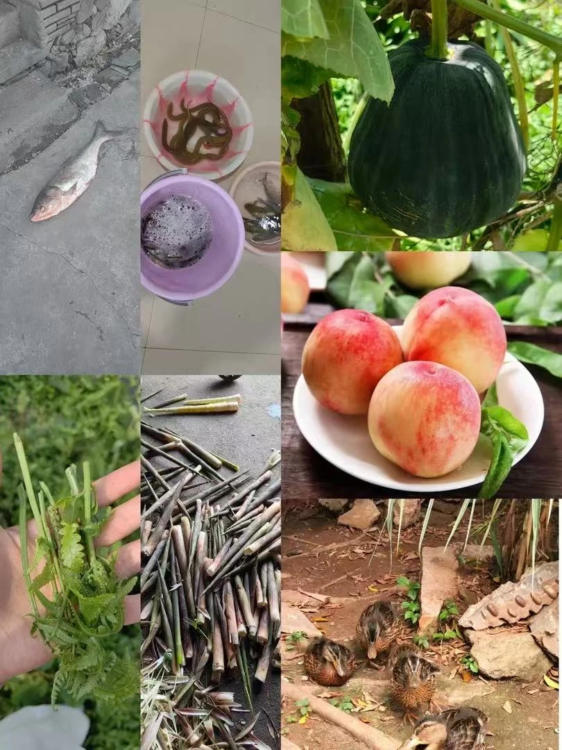 江西鄱阳土特产一物一拍，农村土特产书记豆豉