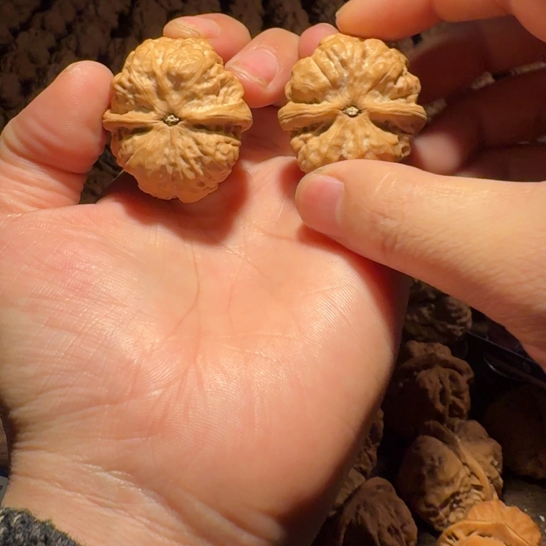 @***️文玩核桃吊坠蛤蟆的眼睛是真的好看啊我的天