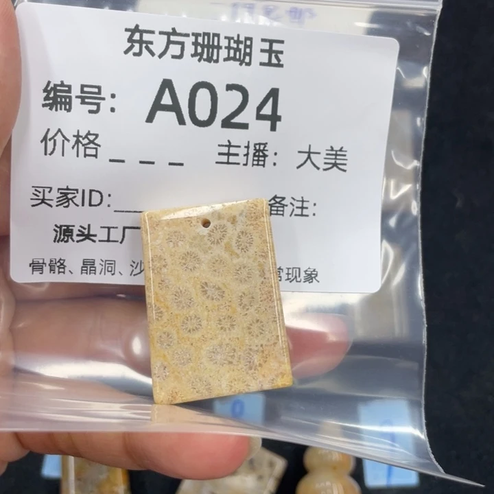 *****硅化珊瑚（珊瑚玉）合金颈饰
