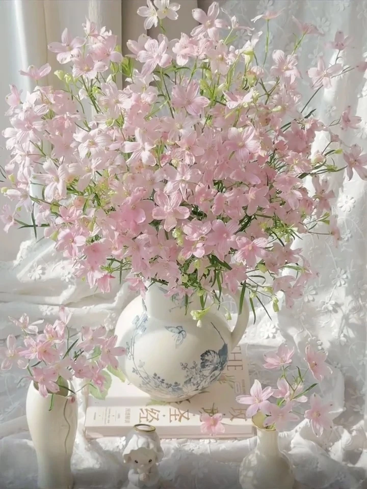 【云南鲜花】小飞燕花  （顺丰包邮 云南直发）