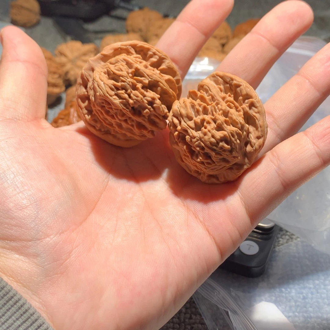 猴头核桃吊坠鲨****辣567888888888