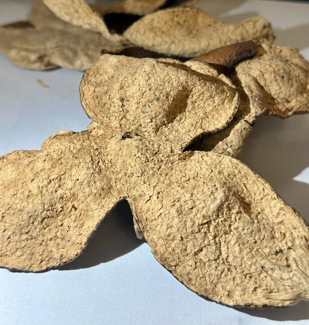 新会陈皮东甲青皮高货滋补品