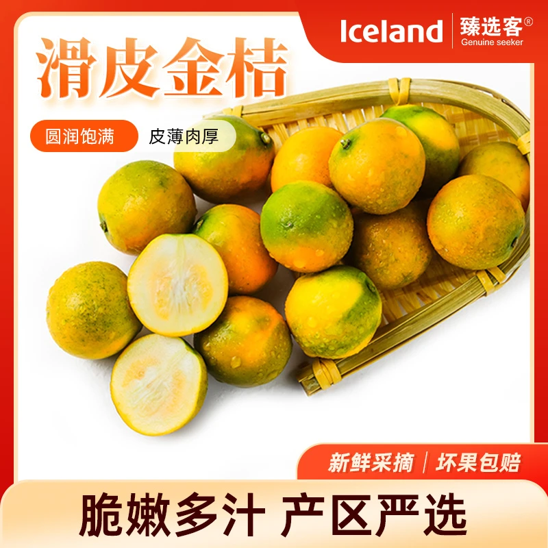 【Iceland臻选客】广西融安滑皮金桔香气浓郁酸甜大果原产地直发