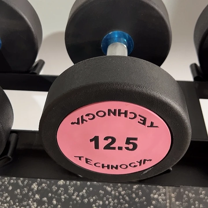 全新纯钢泰诺哑铃12.5公斤一对粉色