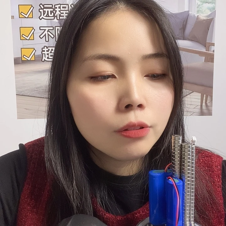 点***景天线不带录音芯片22个