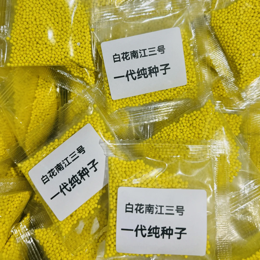 白花南江3号/全国通用，好烤，产量高，抗病好，好管理 不挂灰 Jm
