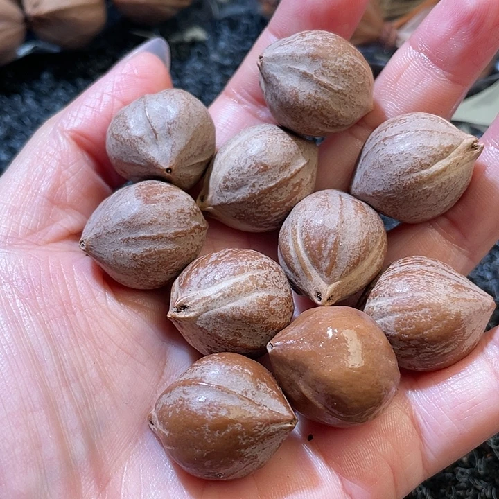 王***义吊坠橄榄核2.0✖️2.5