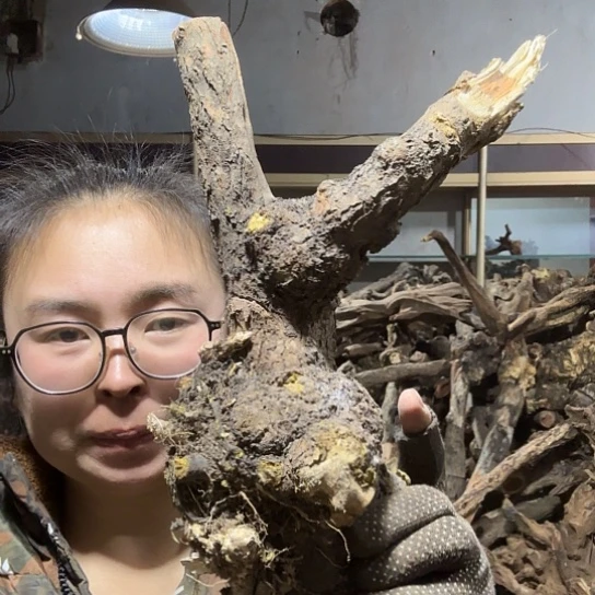 香榧木哥****?火琉璃的毛料摆件