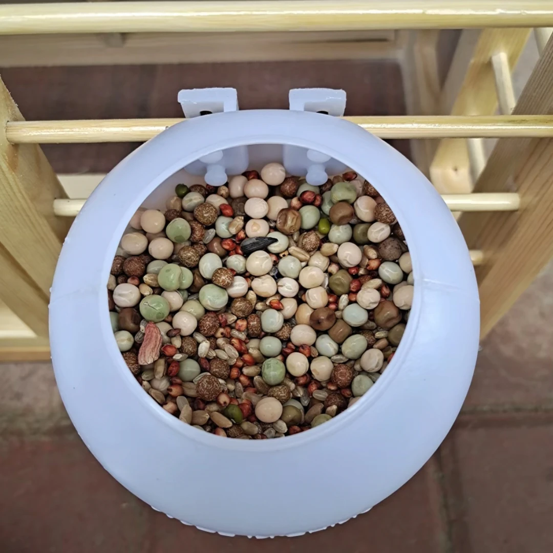 鸽子外挂白色食盒！拍一发十