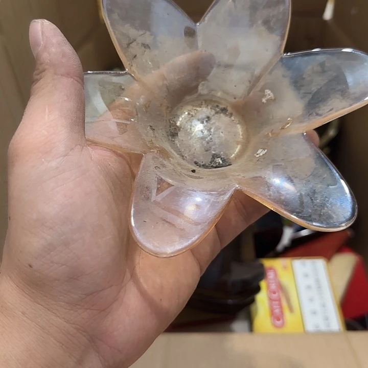 奔***丸香榧木fygggvggvvvvvvv