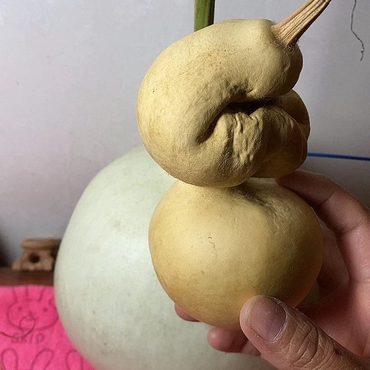 苦***华青皮手把件葫芦摆件