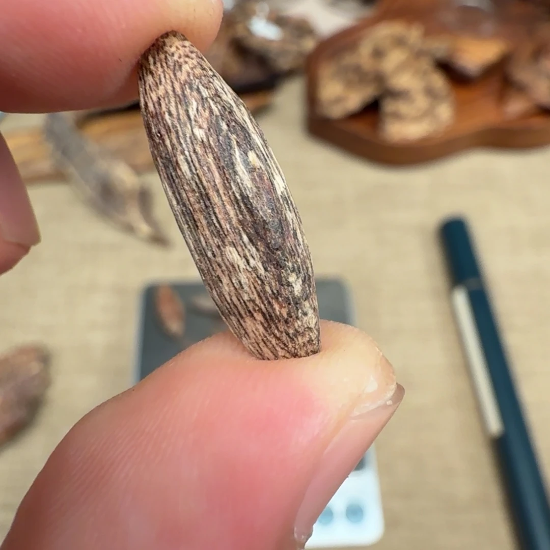 沉香香港大屿山棋韵瓜子