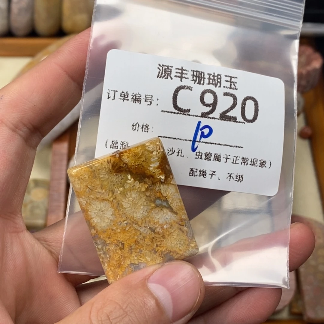 A***外硅化玉未镶嵌颈饰