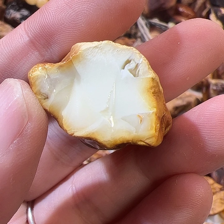 未镶嵌定制蜜蜡琥珀蜜蜡原石定制