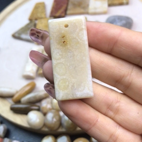 硅化玉未镶嵌颈饰