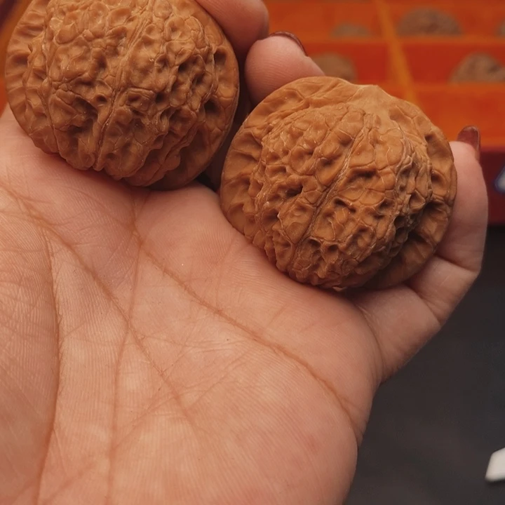 ****刀核桃血麒麟40尺核桃
