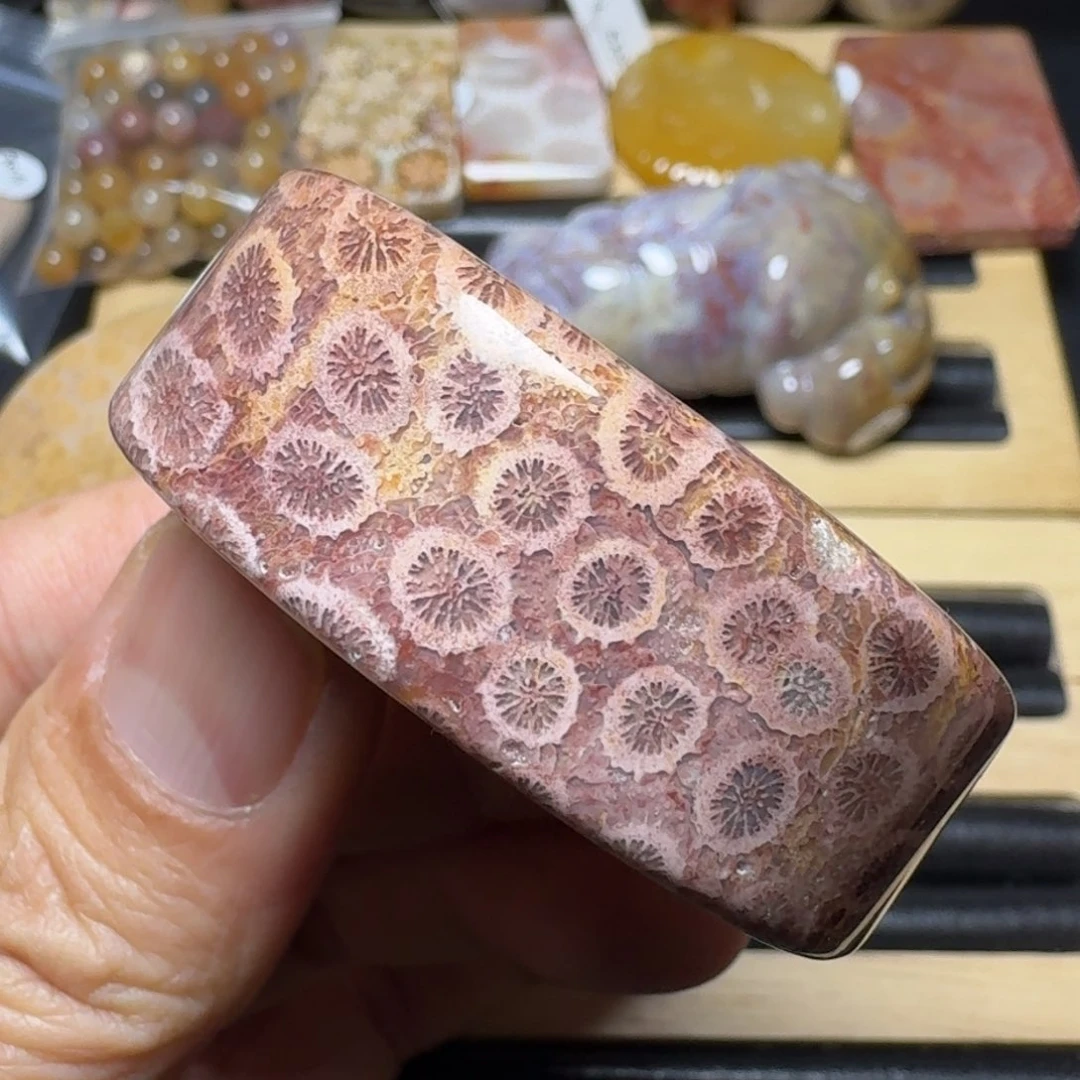 硅化珊瑚（珊瑚玉）纯天然色有机玉石手镯芯未镶嵌